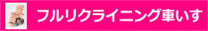 フルリクライニング車いす